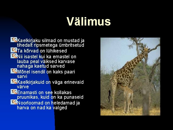 Välimus Kaelkirjaku silmad on mustad ja tihedalt ripsmetega ümbritsetud Ta kõrvad on lühikesed Nii