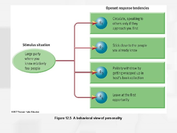 Figure 12. 5 A behavioral view of personality 