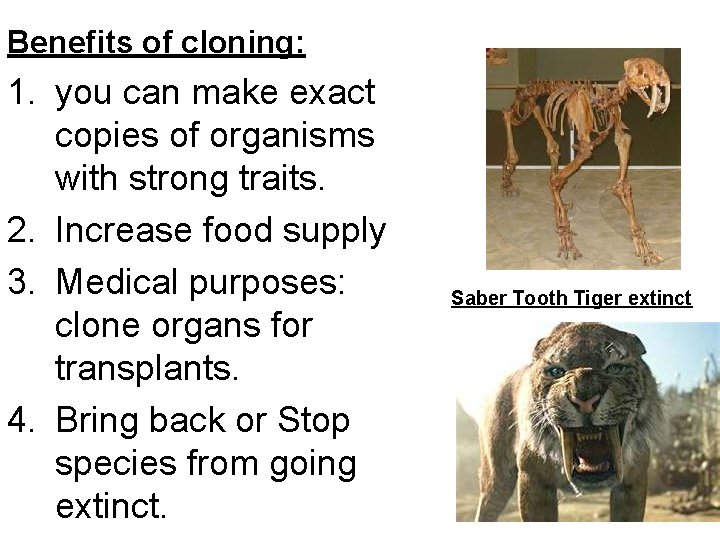 Benefits of cloning: 1. you can make exact copies of organisms with strong traits.