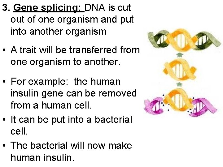 3. Gene splicing: DNA is cut of one organism and put into another organism