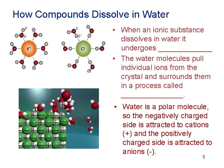 How Compounds Dissolve in Water • When an ionic substance dissolves in water it