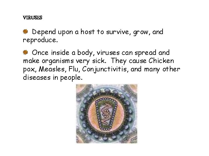 VIRUSES Depend upon a host to survive, grow, and reproduce. Once inside a body,