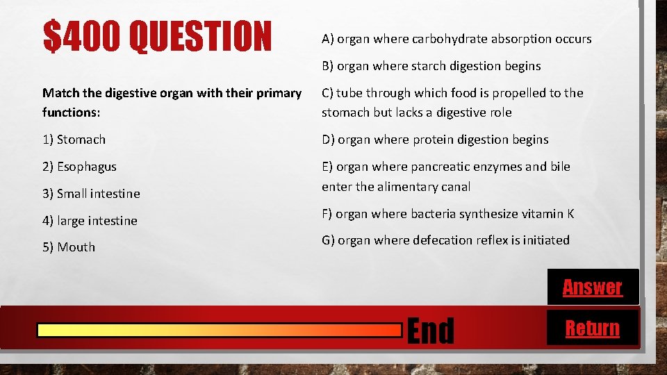 $400 QUESTION A) organ where carbohydrate absorption occurs Match the digestive organ with their