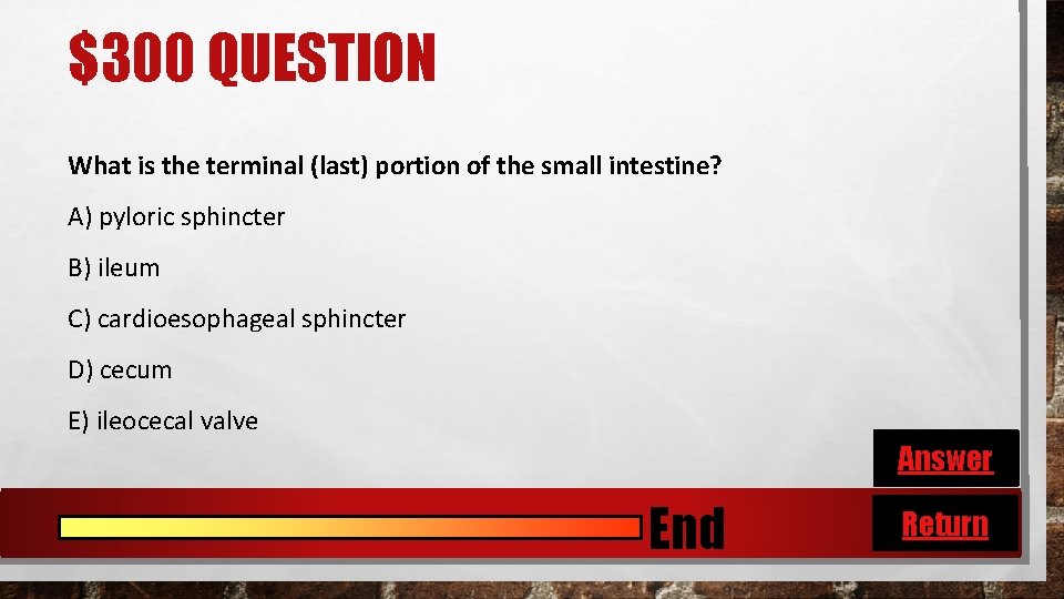 $300 QUESTION What is the terminal (last) portion of the small intestine? A) pyloric