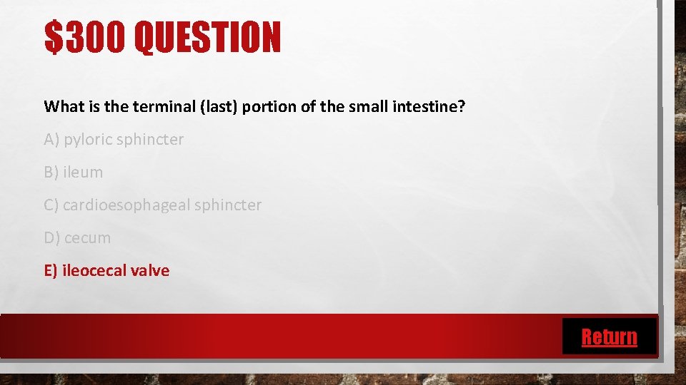 $300 QUESTION What is the terminal (last) portion of the small intestine? A) pyloric