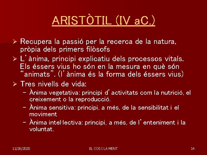 ARISTÒTIL (IV a. C. ) Recupera la passió per la recerca de la natura,