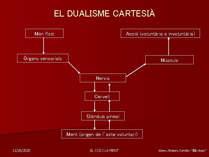 EL DUALISME CARTESIÀ Món físic Acció (voluntària o involuntària) Òrgans sensorials Músculs Nervis Cervell