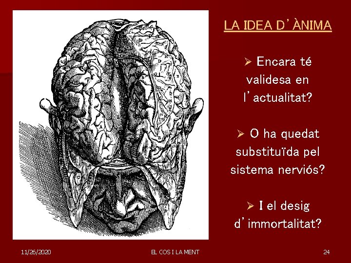 LA IDEA D’ÀNIMA Encara té validesa en l’actualitat? Ø O ha quedat substituïda pel