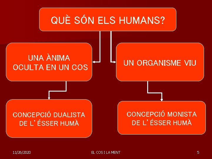 QUÈ SÓN ELS HUMANS? UNA ÀNIMA OCULTA EN UN COS UN ORGANISME VIU CONCEPCIÓ