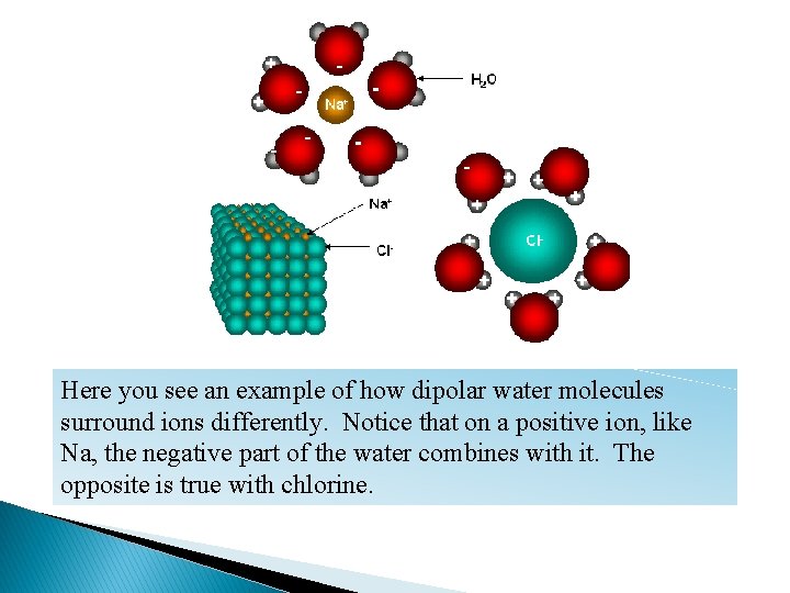 Here you see an example of how dipolar water molecules surround ions differently. Notice