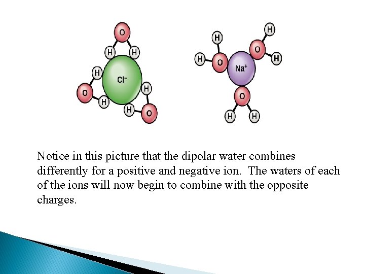 Notice in this picture that the dipolar water combines differently for a positive and