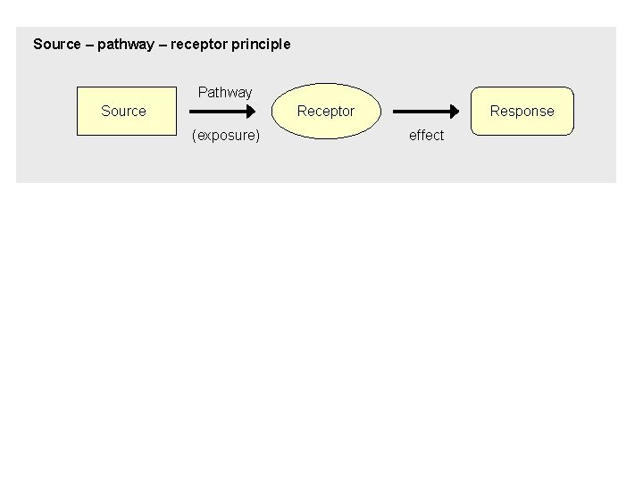 A generic risk assessment approach for multiple stressors