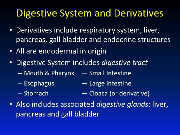 Digestive System and Derivatives • Derivatives include respiratory system, liver, pancreas, gall bladder and