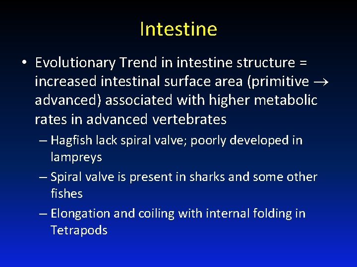 Intestine • Evolutionary Trend in intestine structure = increased intestinal surface area (primitive advanced)