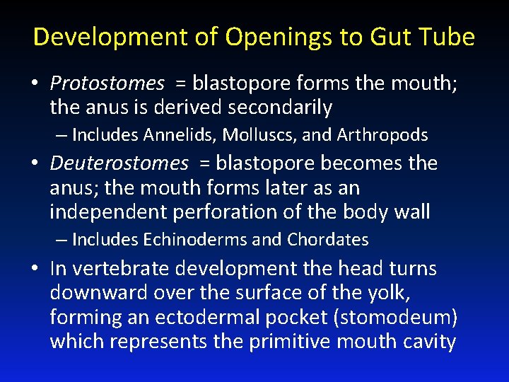 Development of Openings to Gut Tube • Protostomes = blastopore forms the mouth; the