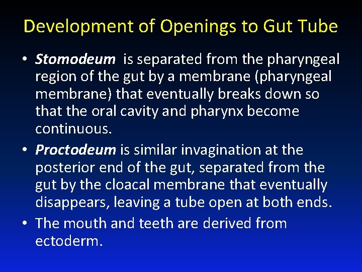 Development of Openings to Gut Tube • Stomodeum is separated from the pharyngeal region