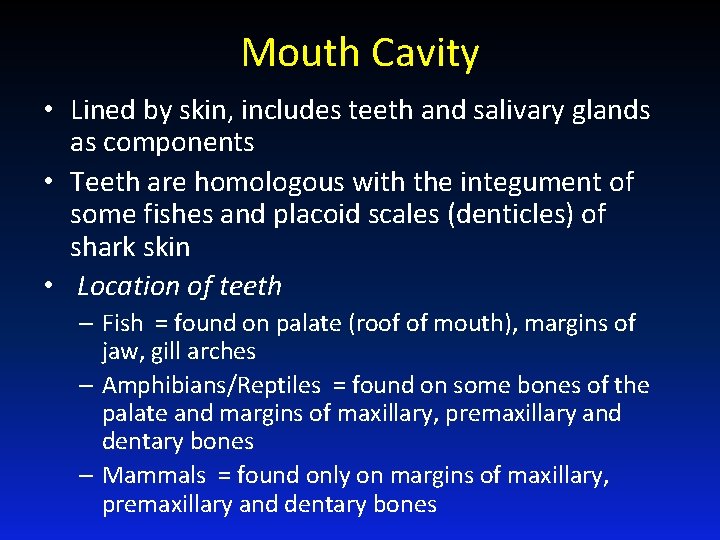 Mouth Cavity • Lined by skin, includes teeth and salivary glands as components •