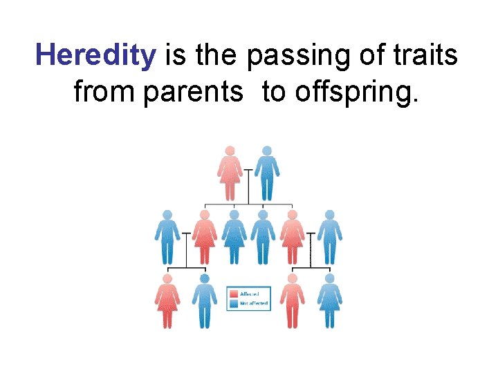 Heredity is the passing of traits from parents to offspring. 