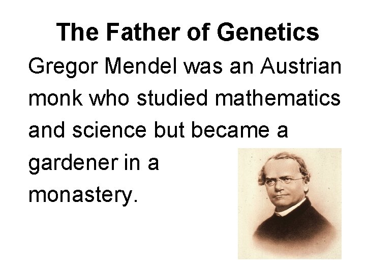 The Father of Genetics Gregor Mendel was an Austrian monk who studied mathematics and