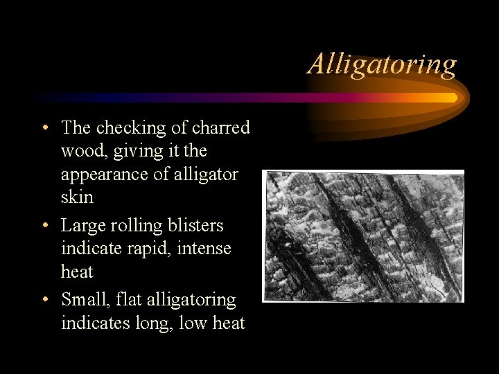 Alligatoring • The checking of charred wood, giving it the appearance of alligator skin