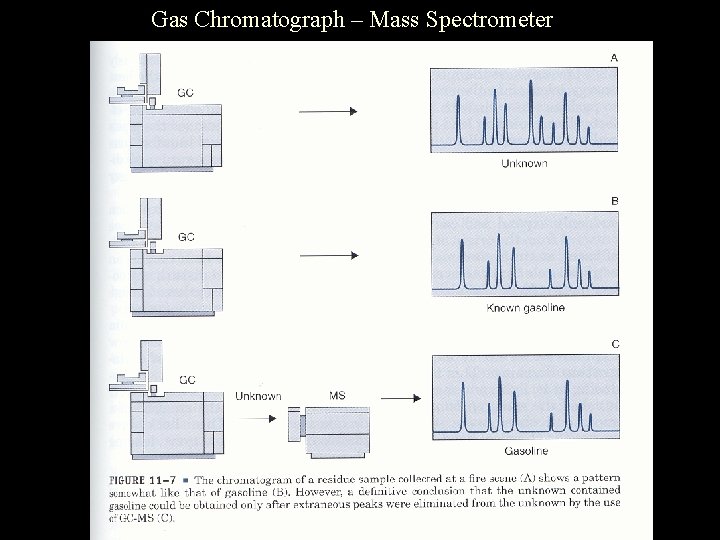 Gas Chromatograph – Mass Spectrometer 