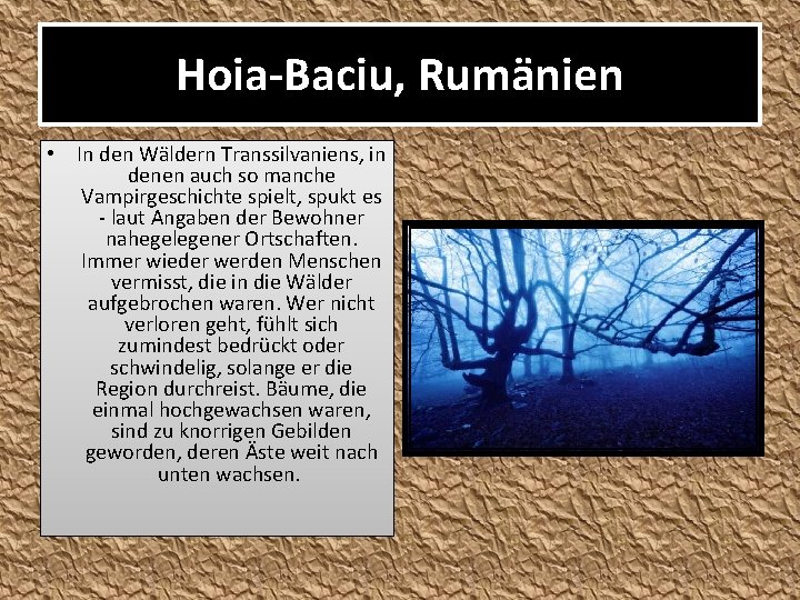 Hoia-Baciu, Rumänien • In den Wäldern Transsilvaniens, in denen auch so manche Vampirgeschichte spielt,