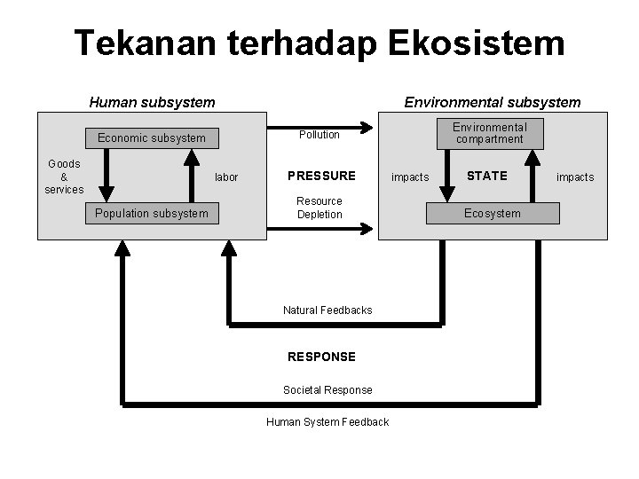 Tekanan terhadap Ekosistem Human subsystem labor Population subsystem Environmental compartment Pollution Economic subsystem Goods