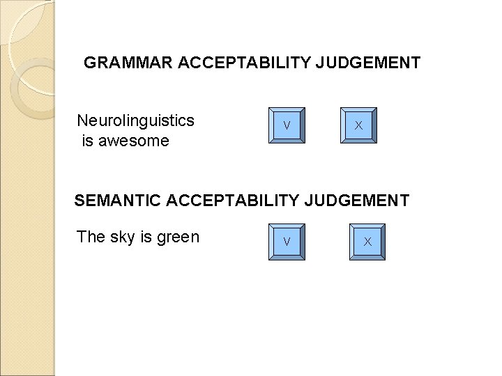 GRAMMAR ACCEPTABILITY JUDGEMENT Neurolinguistics is awesome V X SEMANTIC ACCEPTABILITY JUDGEMENT The sky is