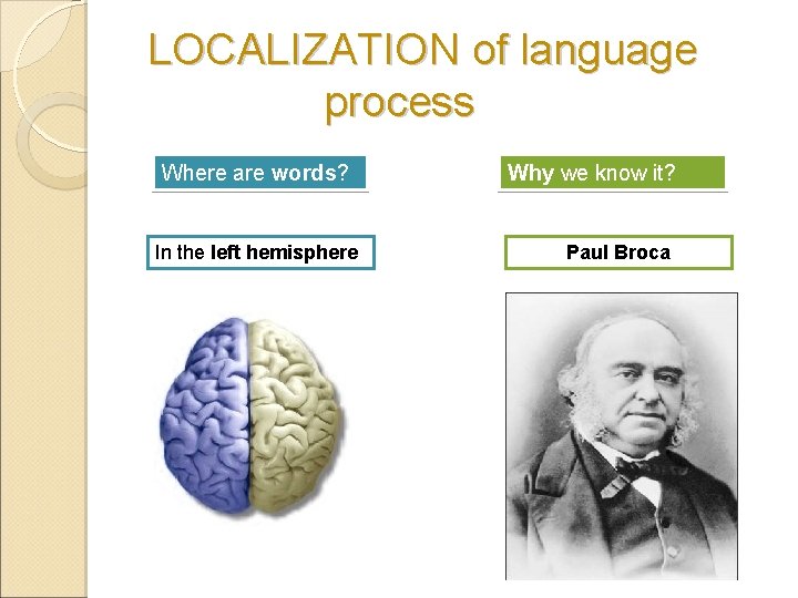  LOCALIZATION of language process Where are words? In the left hemisphere Why we