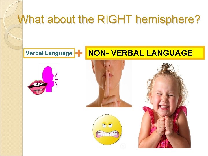 What about the RIGHT hemisphere? Verbal Language + NON- VERBAL LANGUAGE 