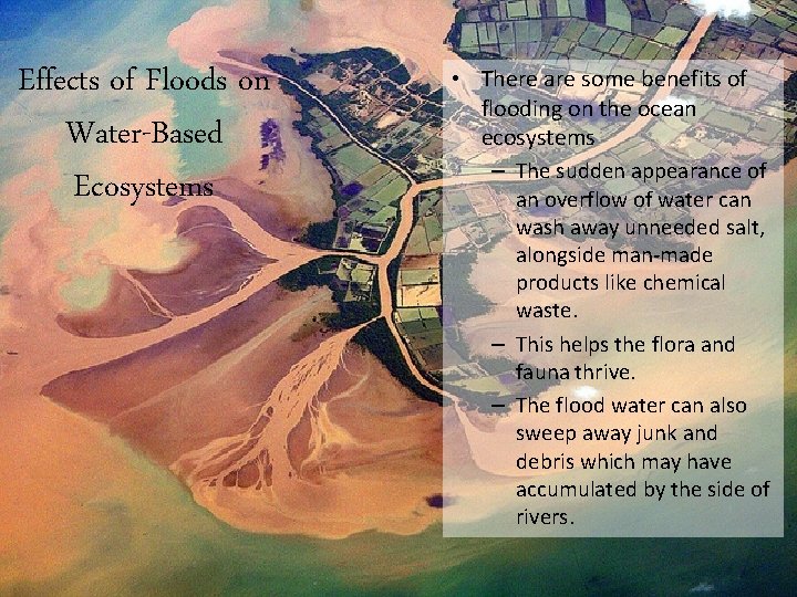 Effects of Floods on Water-Based Ecosystems • There are some benefits of flooding on