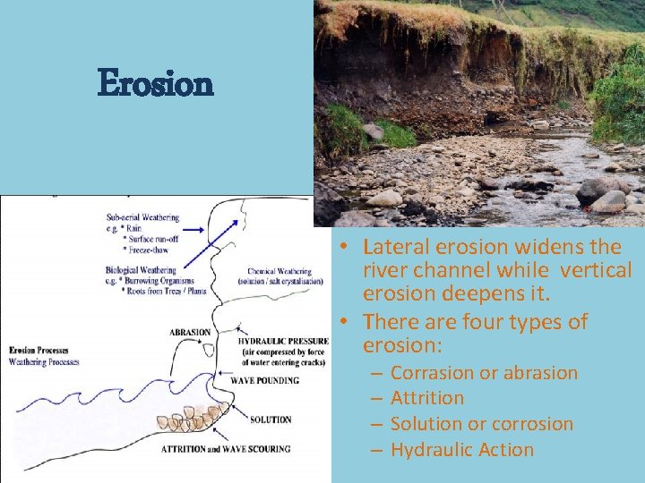 Erosion • Lateral erosion widens the river channel while vertical erosion deepens it. •