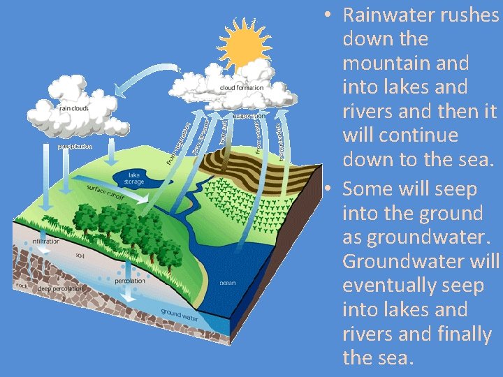  • Rainwater rushes down the mountain and into lakes and rivers and then