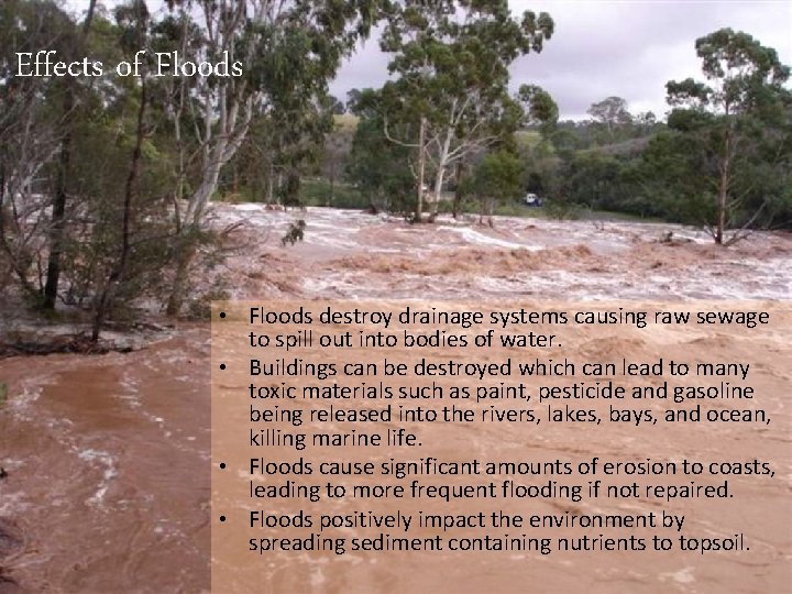 Effects of Floods • Floods destroy drainage systems causing raw sewage to spill out