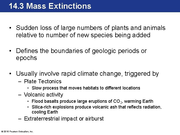 14. 3 Mass Extinctions • Sudden loss of large numbers of plants and animals