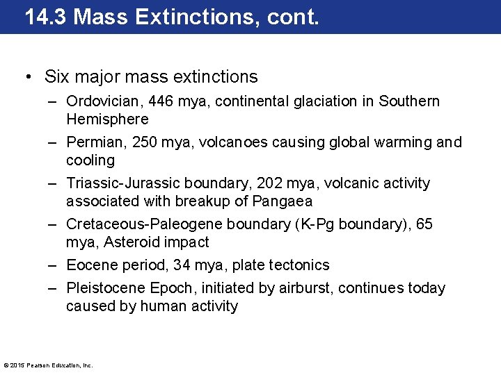 14. 3 Mass Extinctions, cont. • Six major mass extinctions – Ordovician, 446 mya,