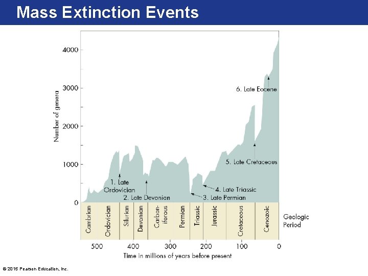 Mass Extinction Events © 2015 Pearson Education, Inc. 