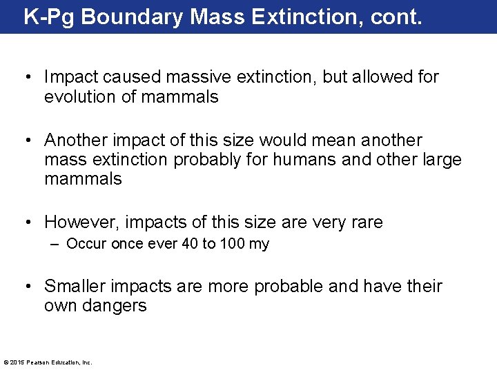 K-Pg Boundary Mass Extinction, cont. • Impact caused massive extinction, but allowed for evolution