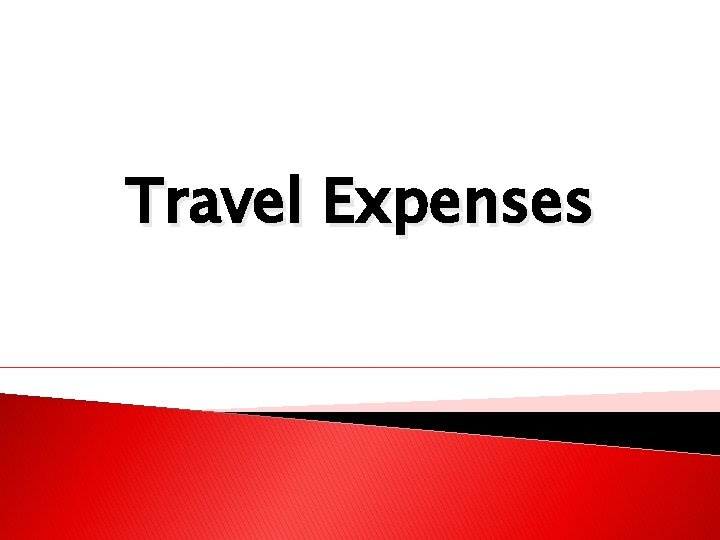 Travel Expenses 