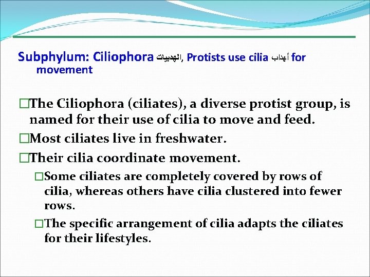Subphylum: Ciliophora ﺍﻟﻬﺪﺑﻴﺎﺕ , Protists use cilia ﺃﻬﺪﺍﺏ for movement �The Ciliophora (ciliates), a