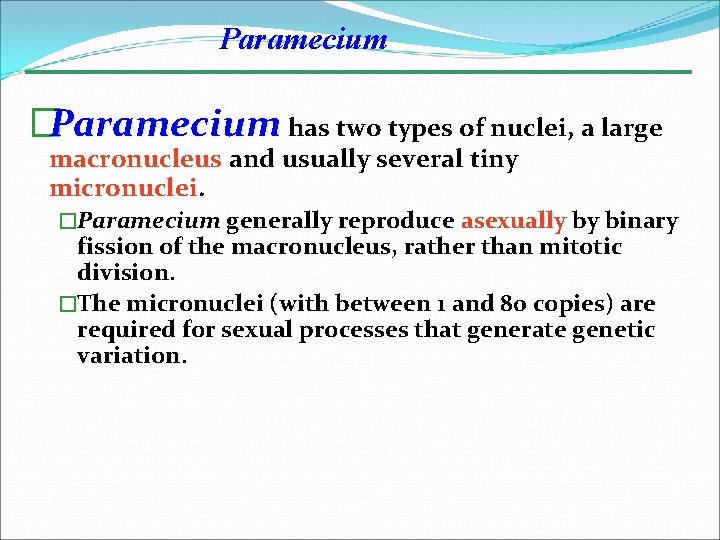 Paramecium �Paramecium has two types of nuclei, a large macronucleus and usually several tiny