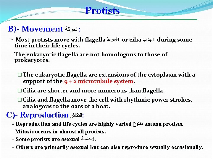 Protists B)- Movement ﺍﻟﺤﺮﻛﺔ : - Most protists move with flagella ﺍﻷﺴﻮﺍﻁ or cilia