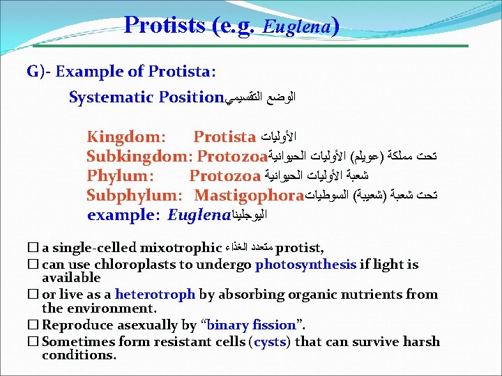 Protists (e. g. Euglena) G)- Example of Protista: Systematic Position ﺍﻟﻮﺿﻊ ﺍﻟﺘﻘﺴﻴﻤﻲ Kingdom: Protista