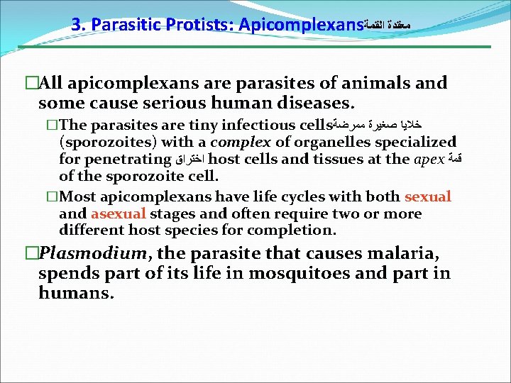 3. Parasitic Protists: Apicomplexans ﻣﻌﻘﺪﺓ ﺍﻟﻘﻤﺔ �All apicomplexans are parasites of animals and some