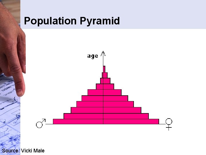 Population Pyramid Source: Vicki Male Population Pyramid Source: Vicki Male
