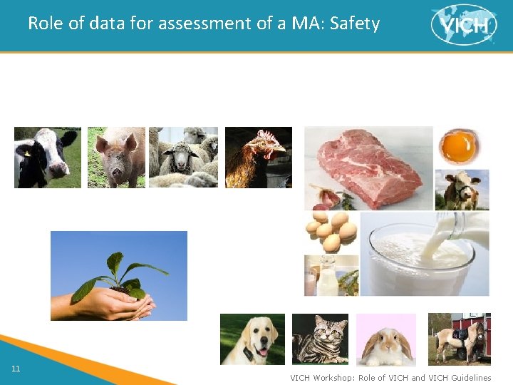 Role of data for assessment of a MA: Safety 11 VICH Workshop: Role of