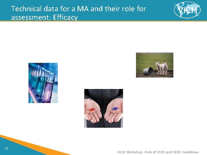 Technical data for a MA and their role for assessment: Efficacy 14 VICH Workshop: