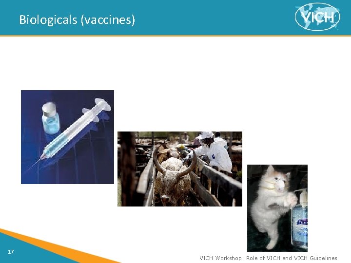 Biologicals (vaccines) 17 VICH Workshop: Role of VICH and VICH Guidelines 