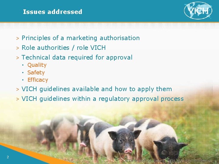 Issues addressed > Principles of a marketing authorisation > Role authorities / role VICH