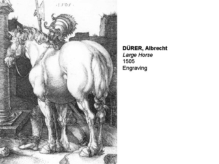DÜRER, Albrecht Large Horse 1505 Engraving 